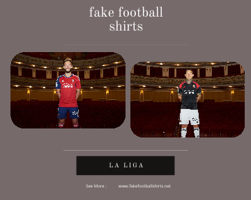 fake Osasuna football shirts 23-24